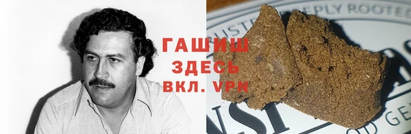 дурь Ельня