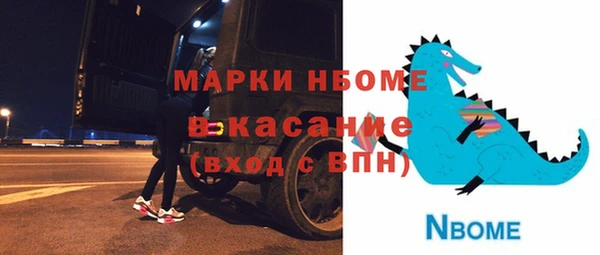 дурь Ельня
