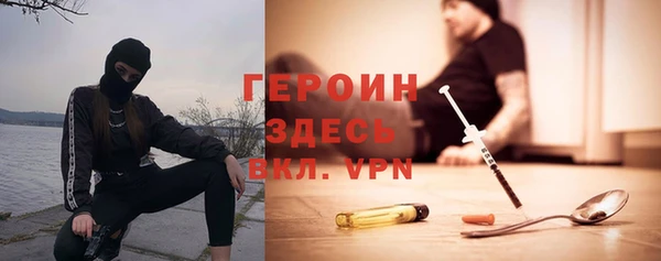 дурь Ельня