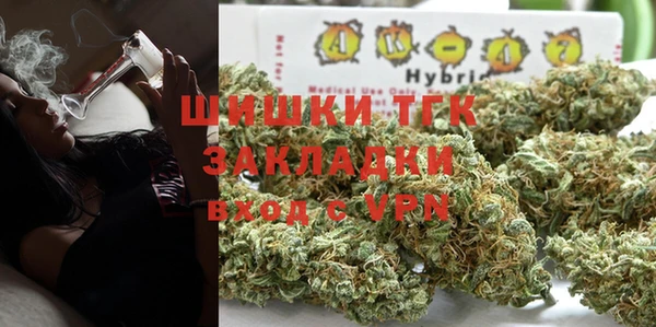 гидропоника Елабуга