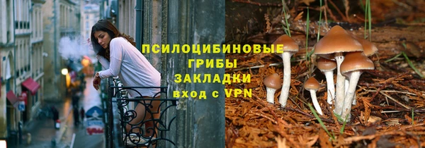 гидропоника Елабуга