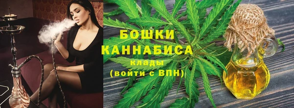 дурь Ельня