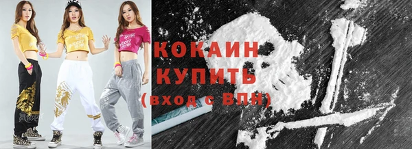 дурь Ельня