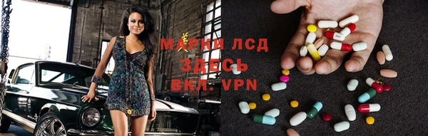 дурь Ельня