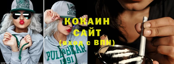дурь Ельня